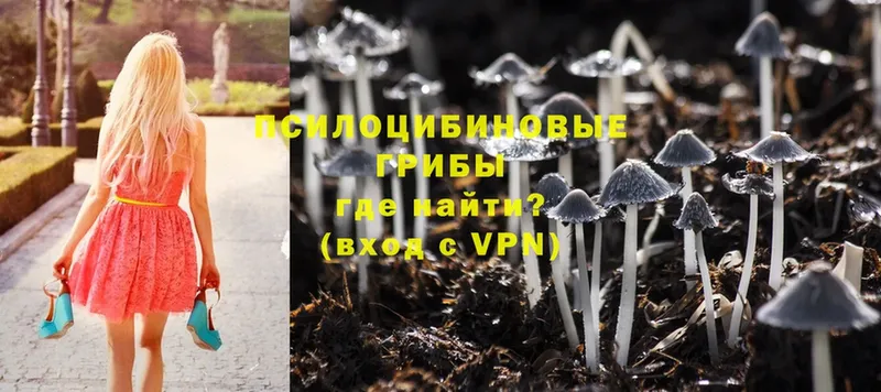 Галлюциногенные грибы Cubensis  Кумертау 